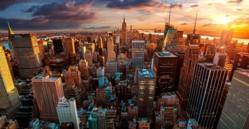 New York Oz Robotics