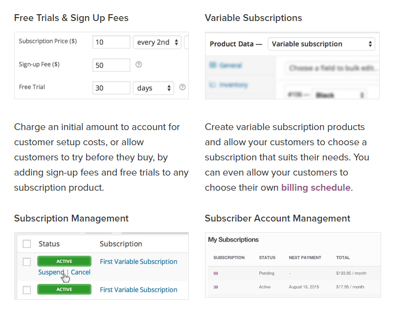 WooCommerce Subscriptions Features