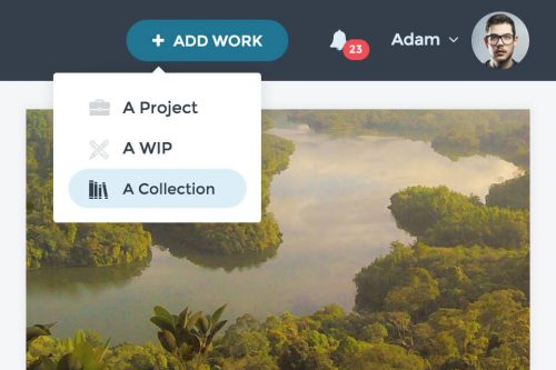 Powerful Portfolio Capabilities