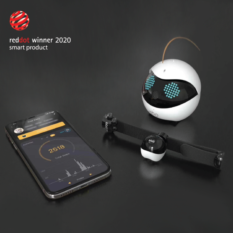 smart robots for cats