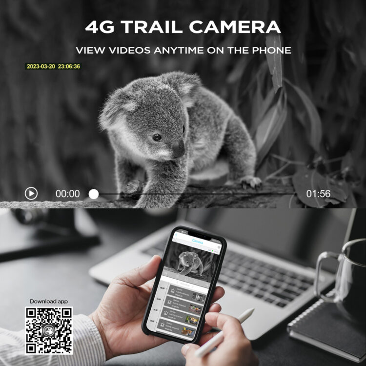 4G Trail camera