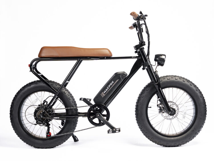mini-swell-electric-bike-fat-tire-ebike-for-adult