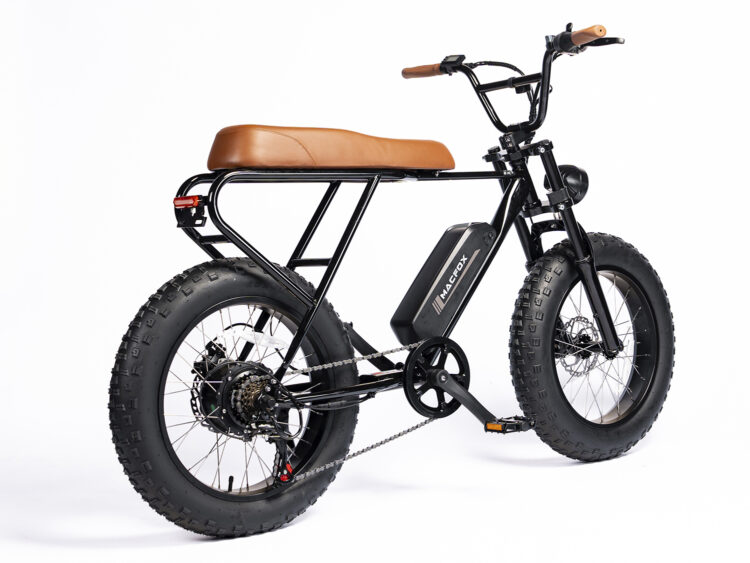 mini-swell-electric-bike-fat-tire-ebike-for-adult-back-side