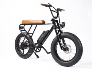mini-swell-electric-bike-fat-tire-ebike-for-adult-for-commuting