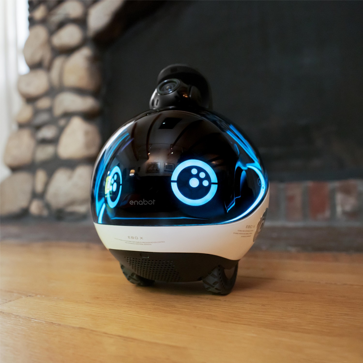 Family Companion Robot EBO X – Oz Robotics