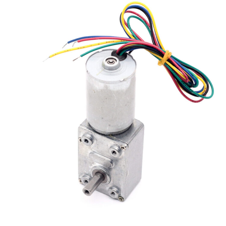 Micro Brushless Motor JGY-2838 Worm Brushless Reduction Motor 12V 3.5RPM1:1800 Ratio